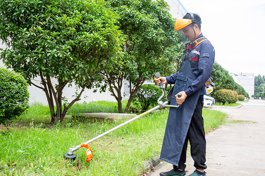 Unum instrumentum, sine fine negotium: Quare multi-ad Trimmer est solus area tool vos postulo