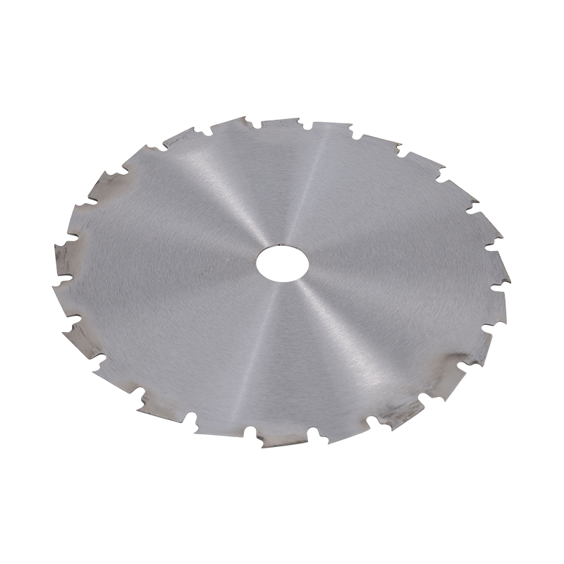 24T consilium discus